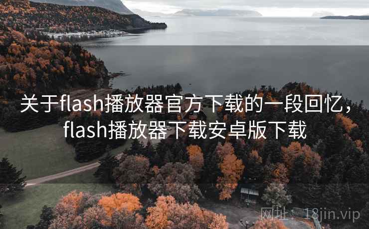 关于flash播放器官方下载的一段回忆，flash播放器下载安卓版下载